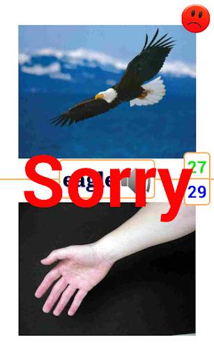 English with Picture screenshot 7