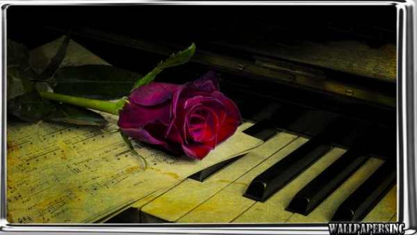 Piano Wallpaper screenshot 4