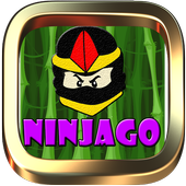 Le Fighter Go Ninja : Possession Fight icon