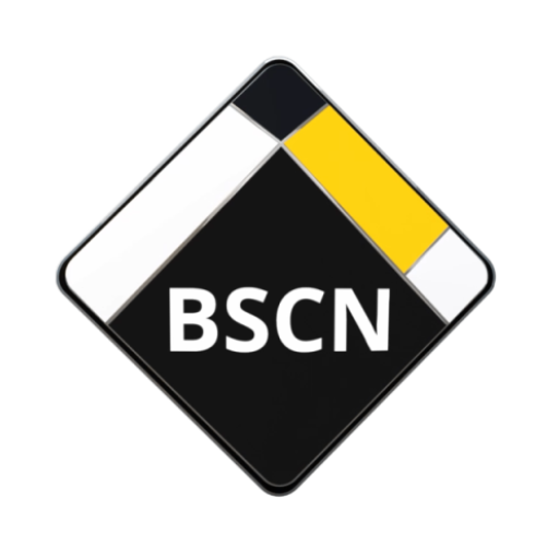 Binance Chain News icon