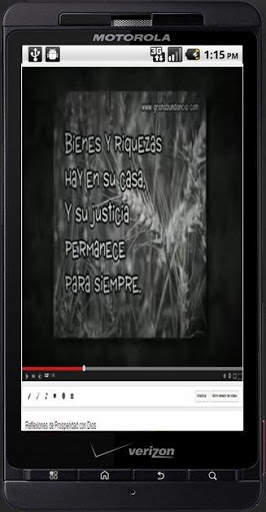 Reflexiones en video screenshot 2