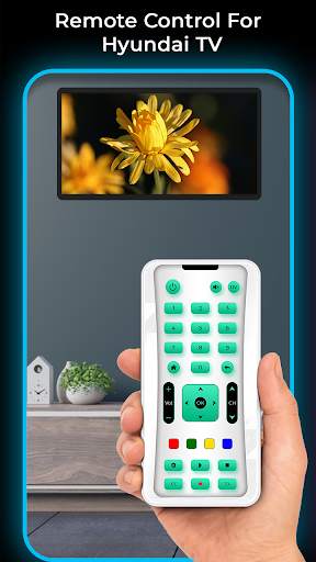 Remote Control For Hyundai TV screenshot 4