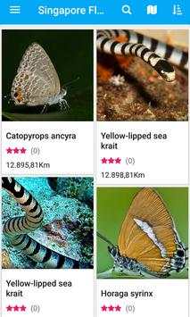 Singapore Flora and Fauna screenshot 1