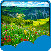 weide live wallpapers icon