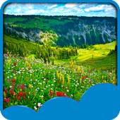 Meadow Live Wallpapers 1.6