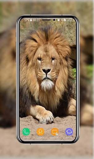 New Lion Wallpaper screenshot 13