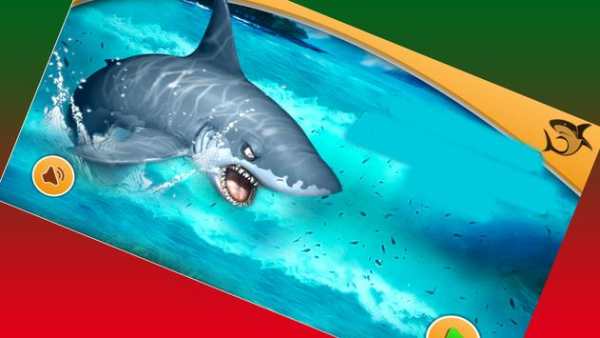 3D Shark Attack Simulator screenshot 3