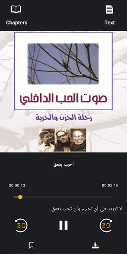 AudioSpot screenshot 2