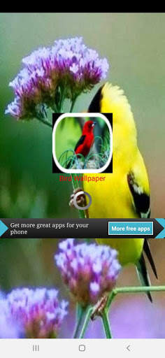 Bird Live Wallpaper screenshot 7
