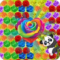 Panda Shooter Rose -New Rose Garden Blossom Crush logo