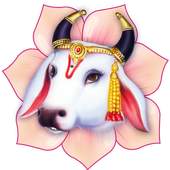 My Gau Mata 1.3
