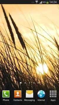 Grass Live Wallpaper HD screenshot 4