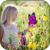 Butterfly Photo Frames icon