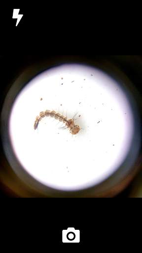 GoCamera - Microscopic Camera screenshot 3