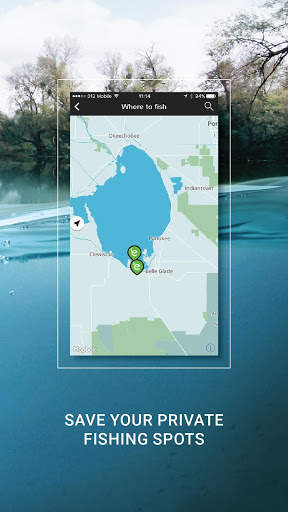 Eco Popper - Live Video Lure screenshot 4