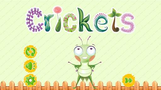 Crickets screenshot 1
