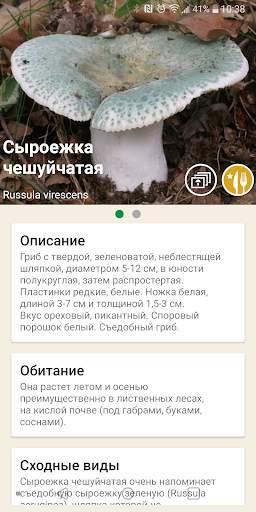 По грибы скриншот 2