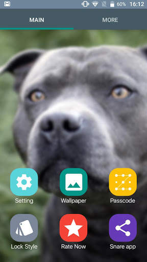 Pitbull Nice Dogs Wallpaper Lock Screen screenshot 3