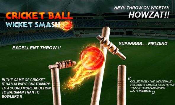 cricket bowling 3d 2017 screenshot 3