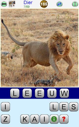 Woordspellen screenshot 12