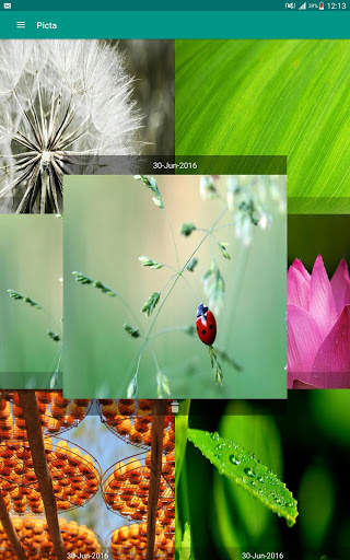 Picta скриншот 5