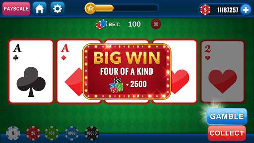 Casino Video Poker-Deuces Wild screenshot 6