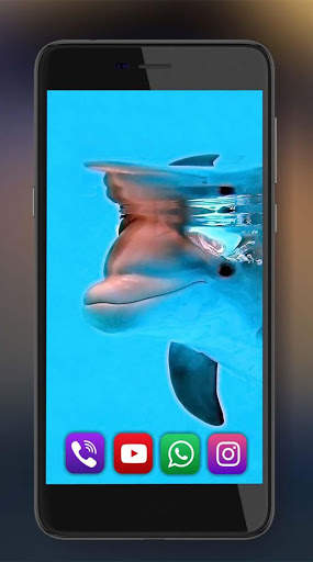 Dolphins Frendly Live Wallpaper screenshot 4