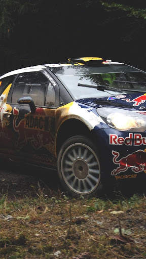 Cool Rally Fury Cars Wallpaper скриншот 1