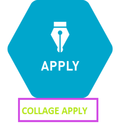 Online College Apply and Result Check icon