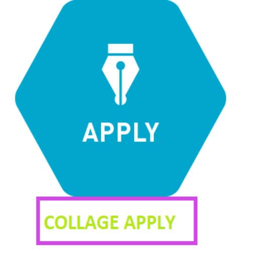 Online College Apply and Result Check 5