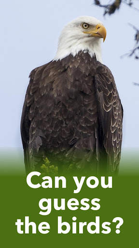 Animals Quiz - Learn All Mammals, Birds and more! screenshot 2