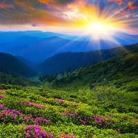 Nature HD Wallpapers on 9Apps