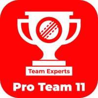 Dream Team 11 app download