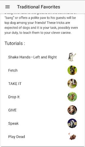 Advanced Dog Training screenshot 4