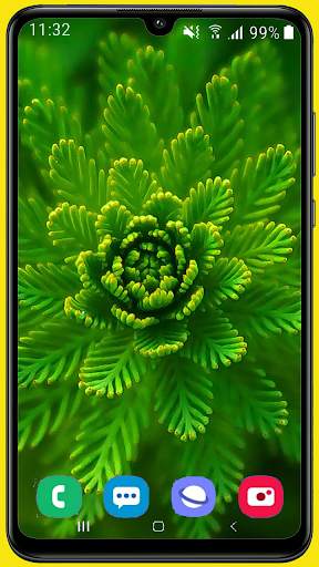 Green Wallpaper Best HD screenshot 2
