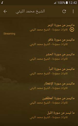 الشيخ محمد الليثي تلاوات نادرة القران الكريم screenshot 5