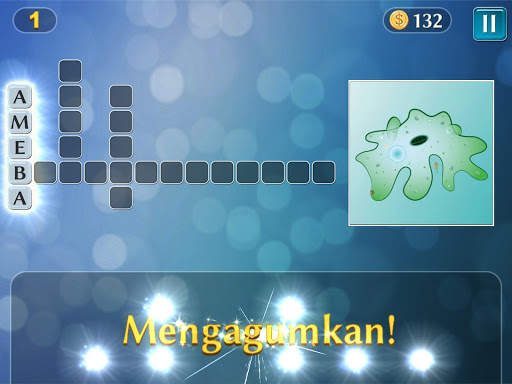 PixWords™ screenshot 10