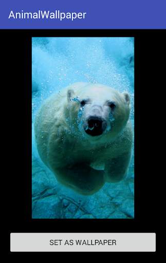 Animal Wallpaper screenshot 5