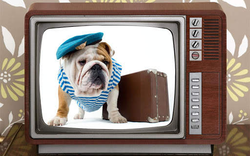 Funny Photo Frames( No Ads) screenshot 2