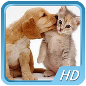 Pet Videos icon