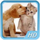 Pet Videos 1.0.2