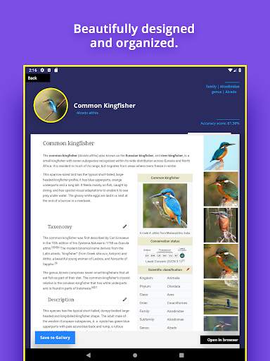 Bird Identifier screenshot 10