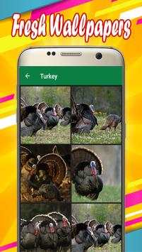 Turkey Wallpapers 1 تصوير الشاشة