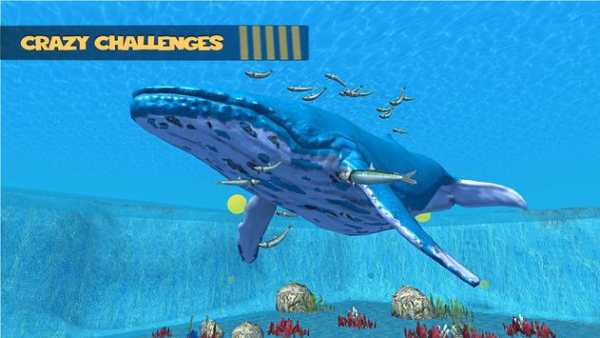 Blue Whale Challenge Game: Angry Shark Simulator screenshot 2