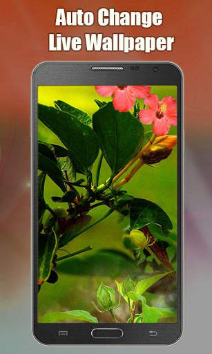 Auto Change Live Wallpaper screenshot 4