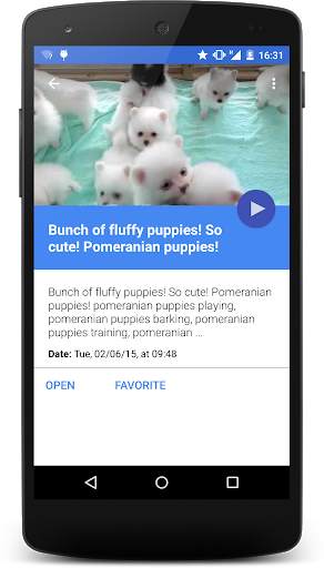 Fluffy Pomeranian Videos HD screenshot 3