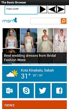 Basic Browser screenshot 2