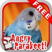 Angry Parakeet Free! आइकन