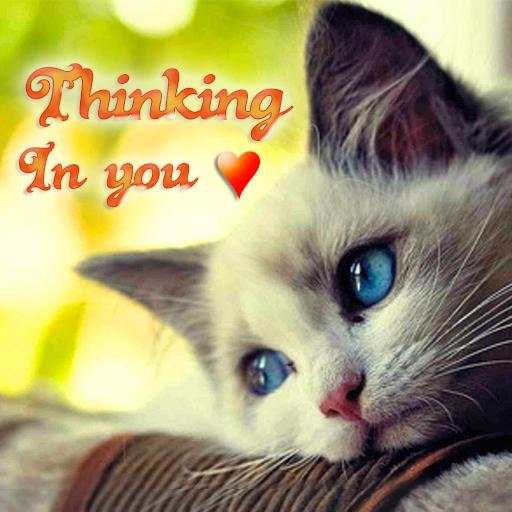 Romantic Pictures for Whatsapp 2.3