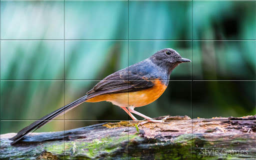 Sparrows Puzzle स्क्रीनशॉट 4